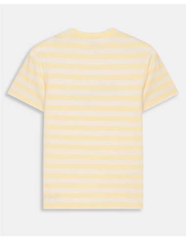 CAMISETA REGATTA CHORD