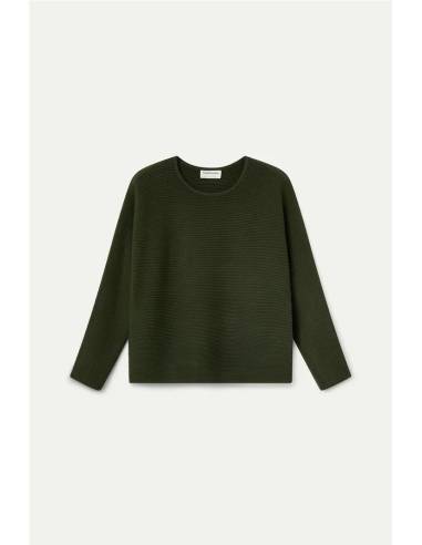 JERSEY BASICO