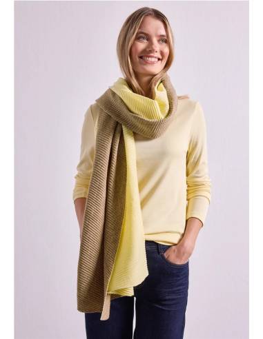 foulard bicolor